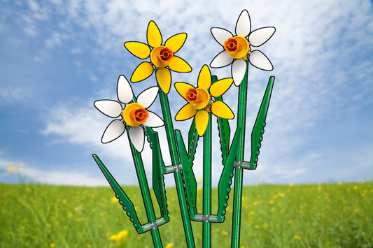 LEGO Daffodils 40747: The Retired Flower Set That Makes a Perfect Gift